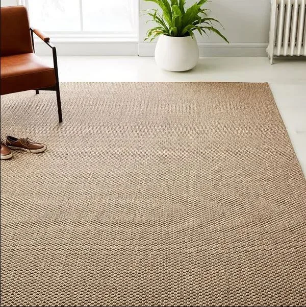 Sisal-Rugs-1