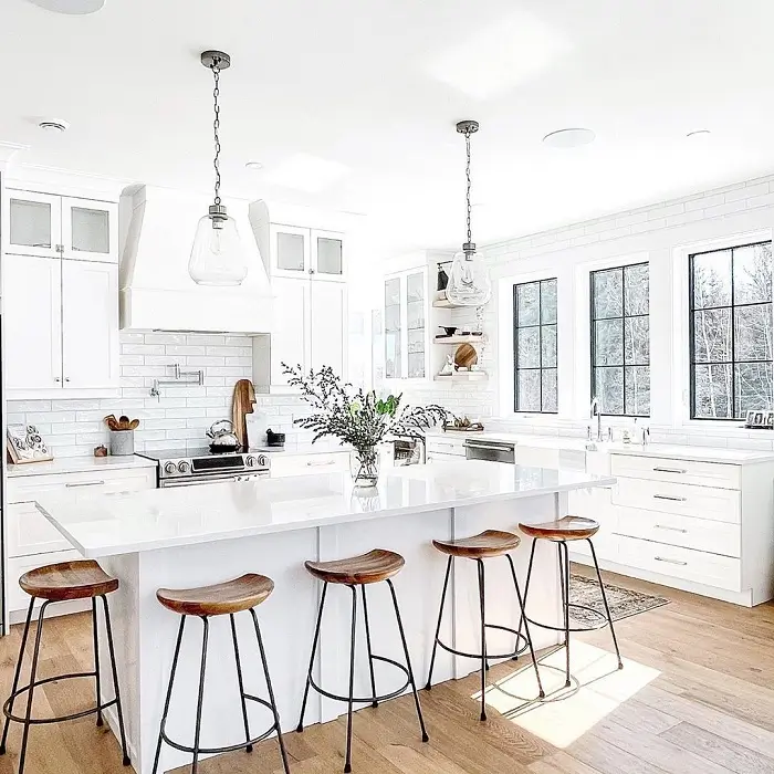 Modern White Kitchen Renovation