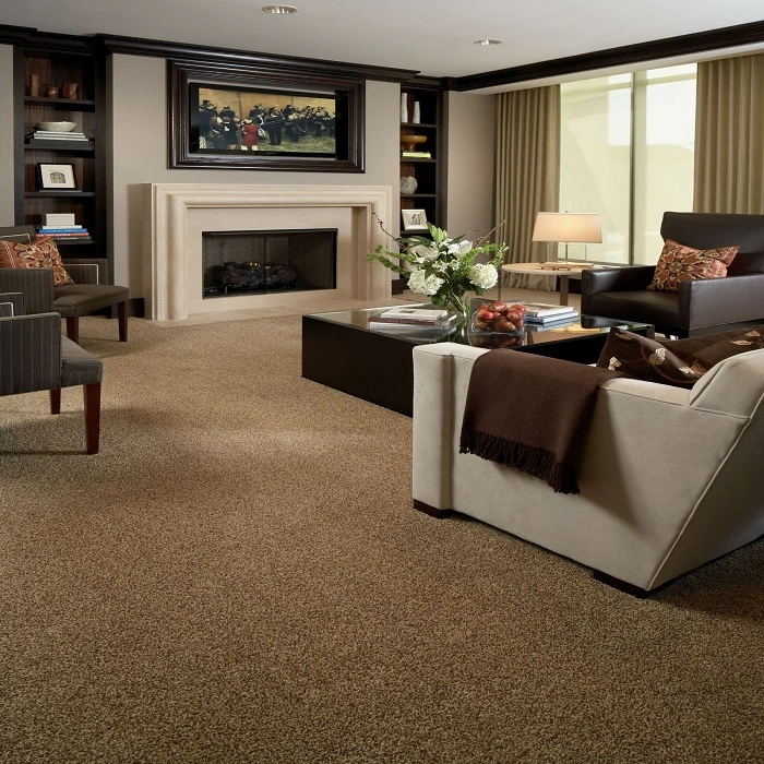 beige carpet for living room