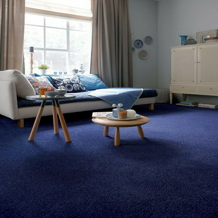 blue carpets s4