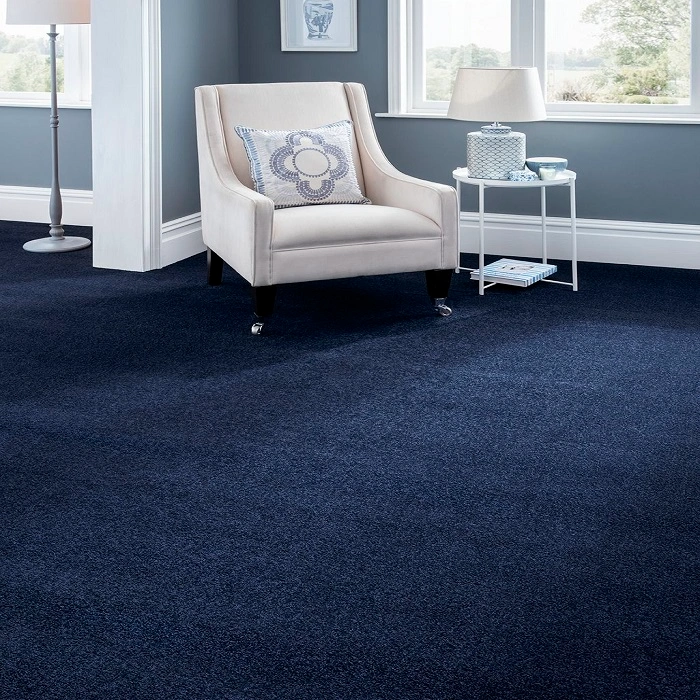 blue carpets s5