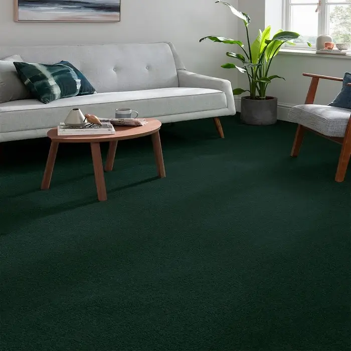 green carpets living room