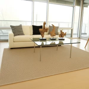 Sisal Carpet in Living Room