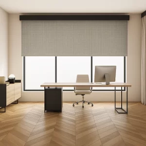 Roller Blinds in Office