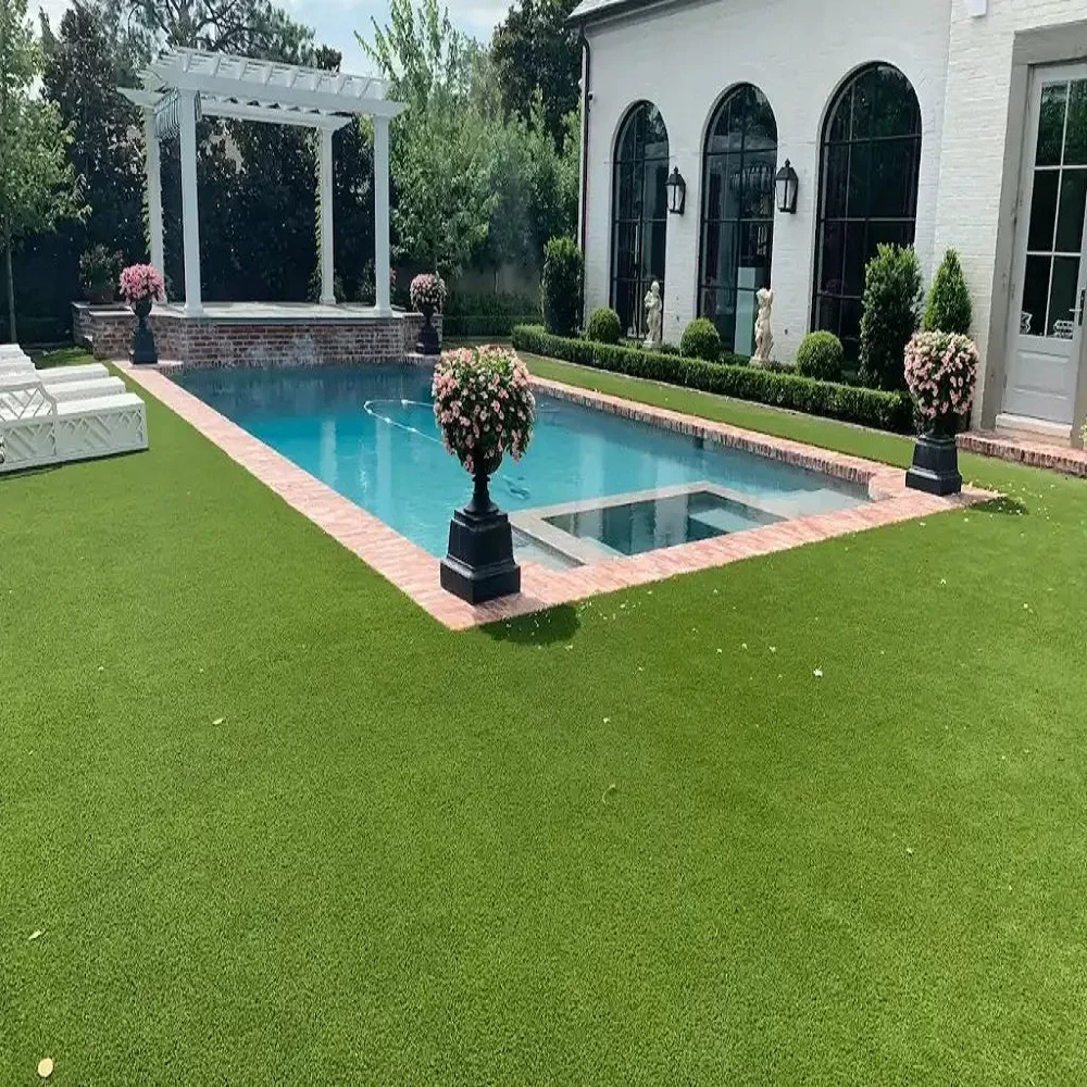 Commercial Lawn Turf Grass