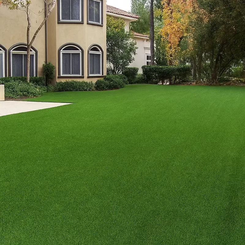 Natural grass carpet