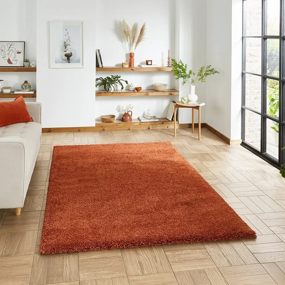 Orange Rugs