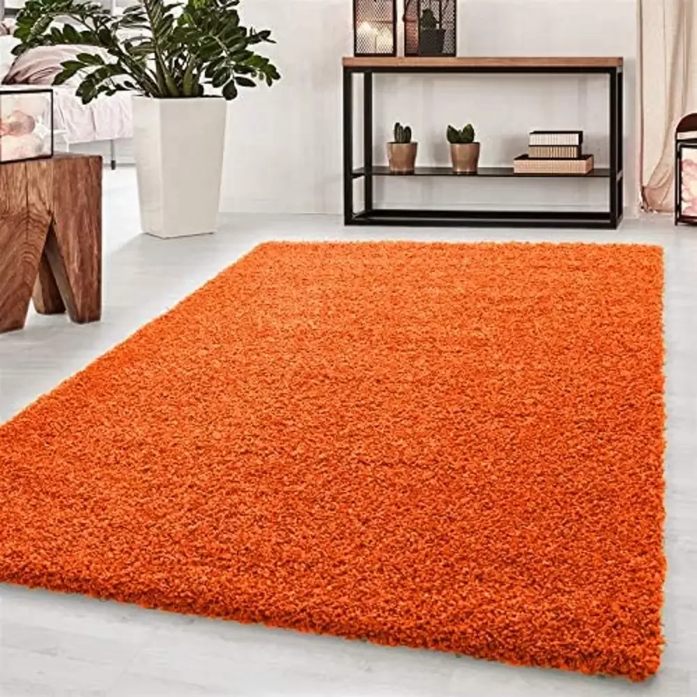 Orange Rugs