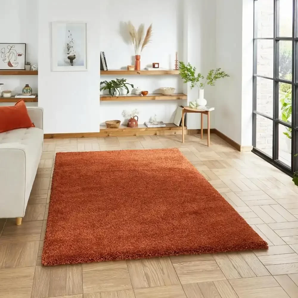 Terracotta Rugs
