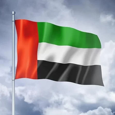 UAE flag s1