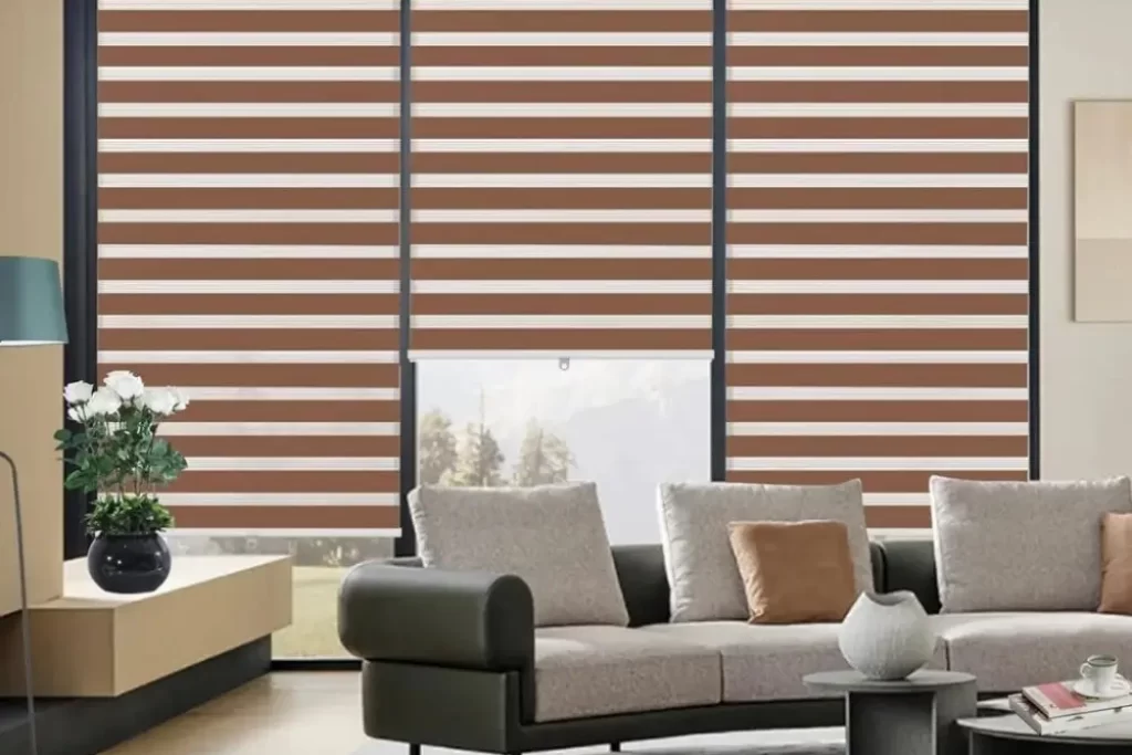 Zebra Blinds