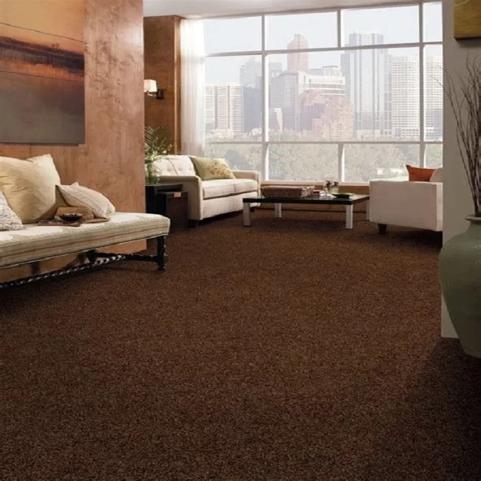 brown carpet for living room